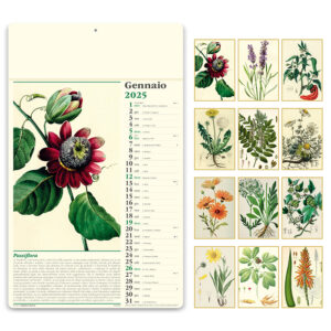 Almanacco Italiano