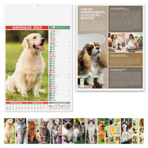 PA108 CANI E GATTI confez. da 1 pz. calendario: cm 30x47 ca
testata: cm 30x9 ca