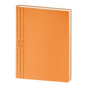 PB206 AGENDA GIORNALIERA confez. da 1 pz. Interno: 15x21
cm 15,5 x 21,5 ca (chiuso)