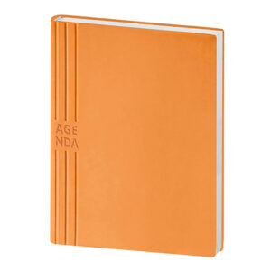 PB240 AGENDA GIORNALIERA IN TAM confez. da 1 pz. interno cm 15 x 21
cm 15,5 x 21,5 ca (chiuso)