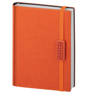 PB275 AGENDA GIORNALIERA confez. da 1 pz. cm 15x21 ca (chiuso)