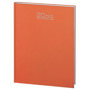 PB540 AGENDA SETTIMANALE confez. da 30 pz. cm 17x24 ca (chiuso)