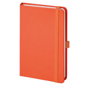 PB600 NOTES PEN confez. da 20 pz. cm 13xh21 ca (chiuso)