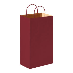 PG016 SHOPPER confez. da 50 pz. cm 18x8x39 ca