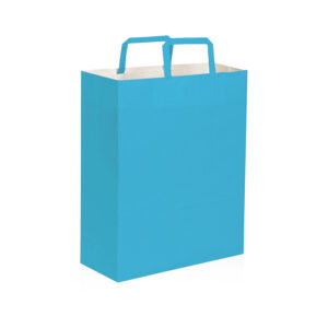PG064 SHOPPER confez. da 50 pz. cm 22x29x10 ca