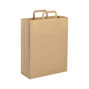 PG077 SHOPPER confez. da 50 pz. cm 22x29x10 ca