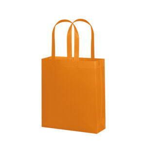 PG135 ALIDA confez. da 50 pz. cm 26x32x9