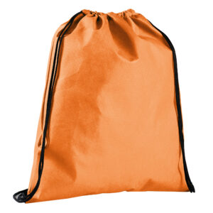 PG170 BAG T confez. da 10 pz. cm 36x41 ca