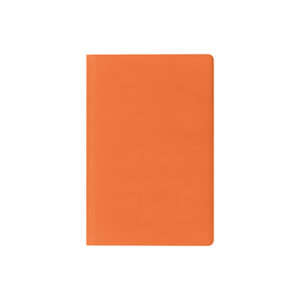 PN269 BASIC CARD confez. da 50 pz. cm 5,5xh9,5 ca (chiuso)