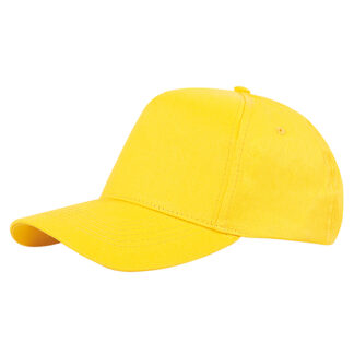 PM101GI.jpg